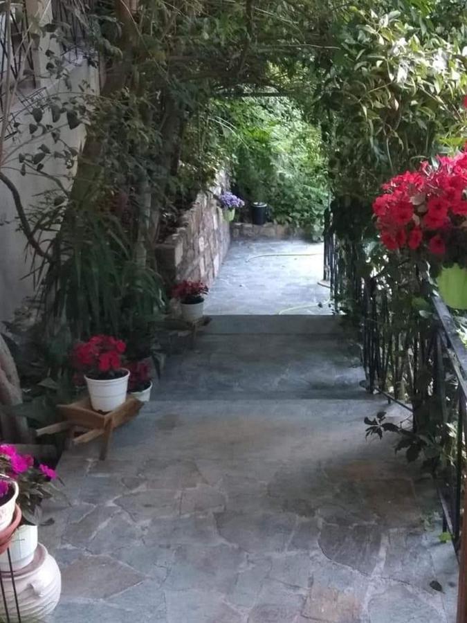 Ntaliani Panagiota Anastasia Loutra Edipsou  Exterior foto